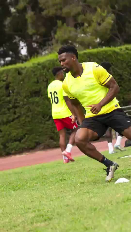 Prepare Off-Season